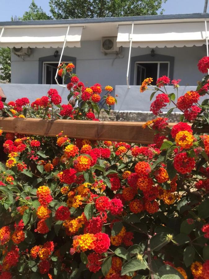 Villa Praljan บอร์ช ภายนอก รูปภาพ